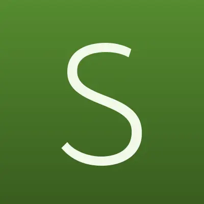 SV-чистка